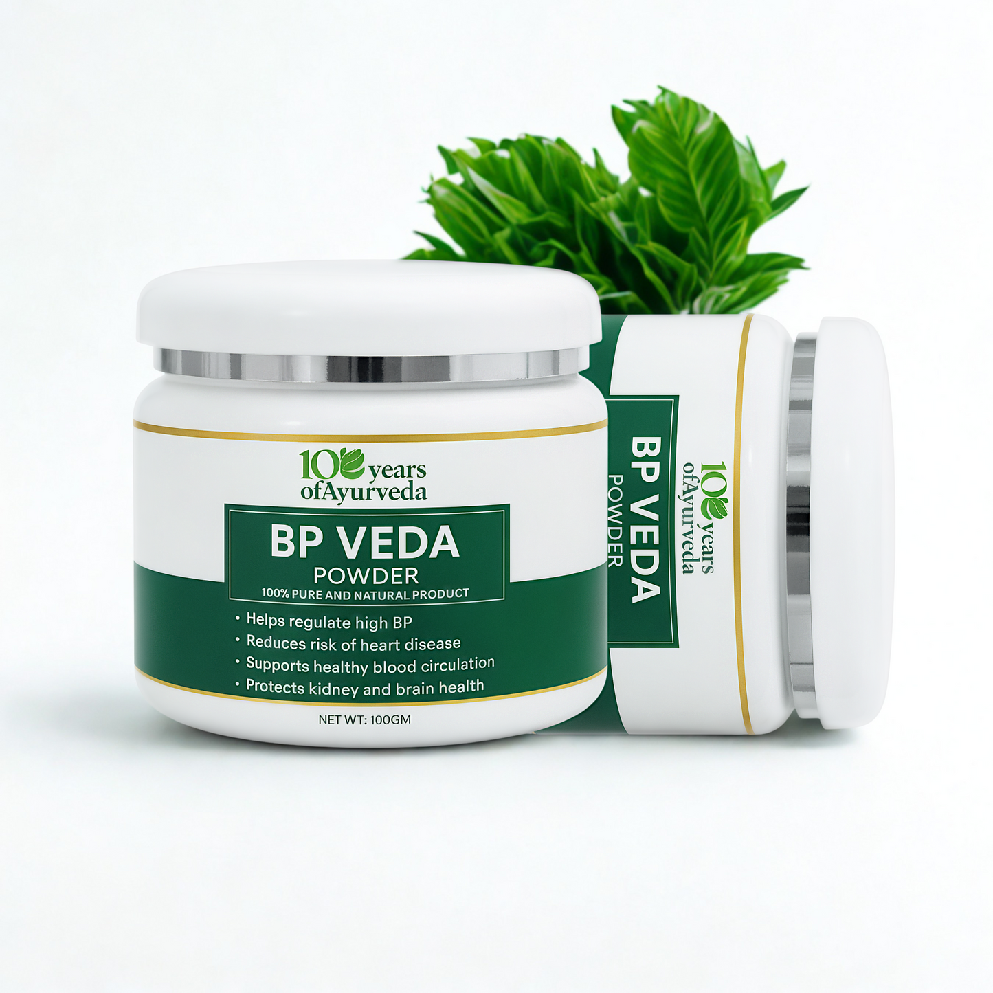 BP Veda (Blood Pressure Solution)